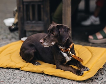 Hundereisedecke, Hundereisematte, wasserabweisende Reisedecke, schmutzabweisende Hundematte, nachhaltige Hundereisedecke, öko Hundematte