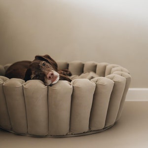 Stylish Small Dog Bed: Modern Cozy Pet Retreat &quot;HAVEN&quot;