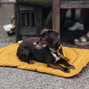 Dog travel blanket, dog travel mat, water repellent travel blanket, portable dog travel blanket, dirt repellent, lightweight, portable mat