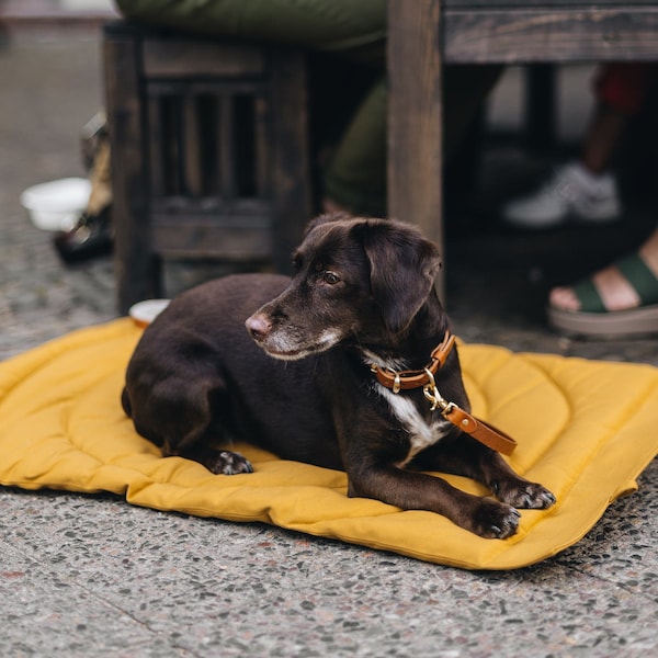 Water Repellent Dog Travel Mat: Roll-Up Dralon Fabric Blanket "COMPASS"