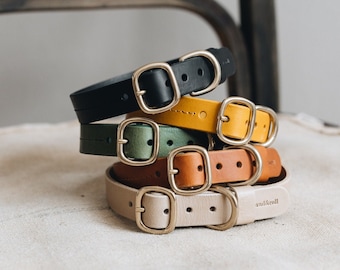 FIR Spectrum Series - Leather Dog Collar: Choose Your Shade from Brown, Beige, Green, Yellow, Black - Vegetable Tanned with Custom Brass Tag