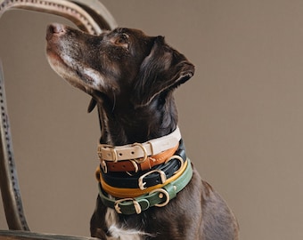 Lightweight Leather Collar for Small Dogs - Choose from Brown, Beige, Green, Yellow, Black - Vegetable Tanned, Light Brass - FIR Air Series