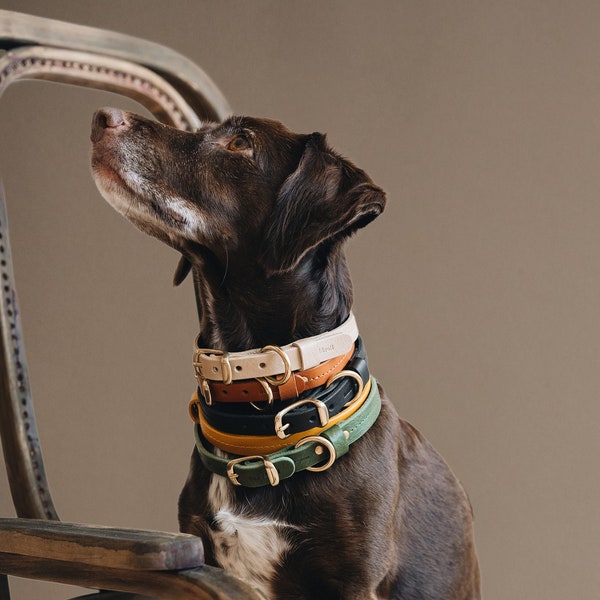 Lichtgewicht leren halsband voor kleine honden - Kies uit bruin, beige, groen, geel, zwart - plantaardig gelooid, licht messing - FIR Air-serie