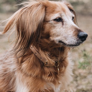 Beige Leather Collar - Nature’s Hue with Vegetable Tanned Radiance