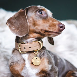 Beige Leather Collar - Nature’s Hue with Vegetable Tanned Radiance