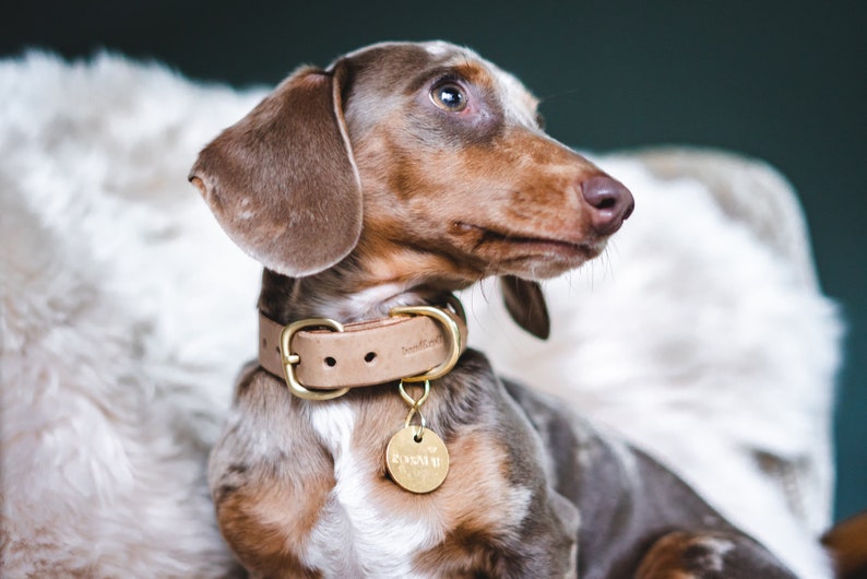Beige Leather Collar - Nature’s Hue with Vegetable Tanned Radiance