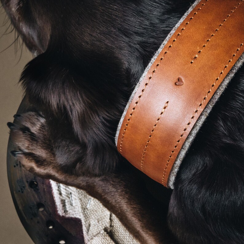 K&ouml;nnte beinhalten: Ein braunes Lederhundekragen mit grauem Filz-Futter und einem kleinen herzf&ouml;rmigen Detail. Das Halsband wird von einem schwarzen Hund getragen.