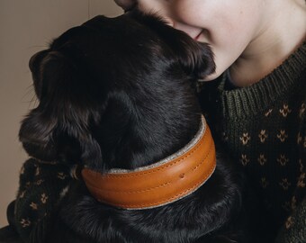 Earthy Elegance: Wide Brown Dog Collar with Wool-Felt Padding for Natural Comfort and Delicate Necks. PINE