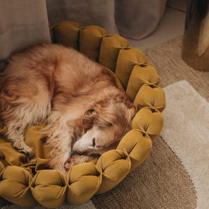 Pu&ograve; includere: Un golden retriever che dorme in un letto per cani rotondo e imbottito di colore senape. Il letto &egrave; su un tappeto beige e bianco.