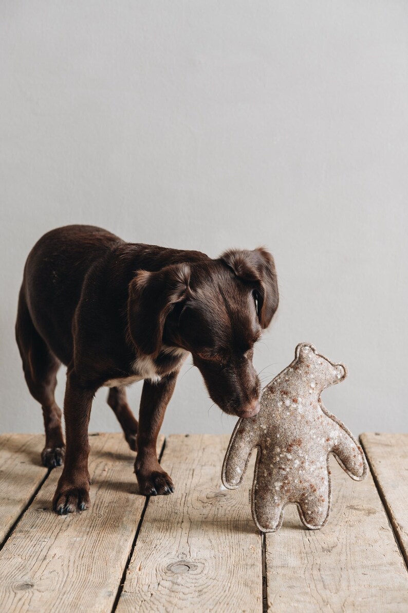Wool dog toys, bone dog toy, bear dog toy, tree dog toy, puppy toy, sustainable dog toy, robust natural dog toy, dog gift, puppy present