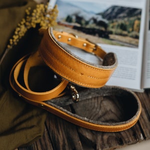 Wide Padded Leather Dog Collar: Comfy Everyday Collar For Gentle Necks &quot;PINE&quot;