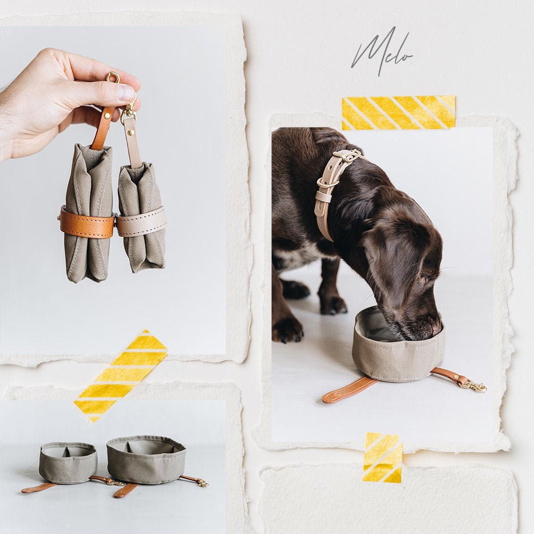 Bol de Voyage Pour Animaux Compagnie. Melo