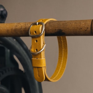 yellow leather dog collar