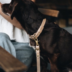 Yellow Collar for Tiny Canines: Vegetable Tanned Leather, Ultra-Light Hardware, Custom Brass Tag FIR Air Sunbeam image 6