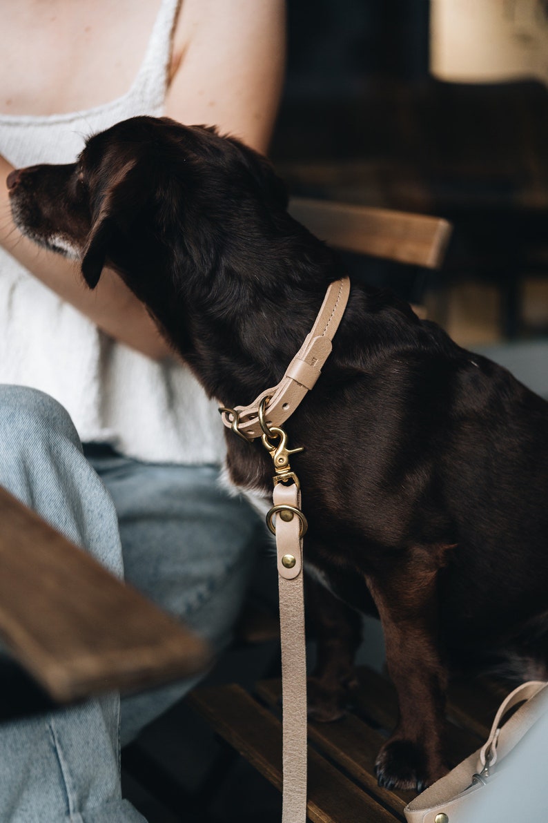 Yellow Collar for Tiny Canines: Vegetable Tanned Leather, Ultra-Light Hardware, Custom Brass Tag FIR Air Sunbeam image 6