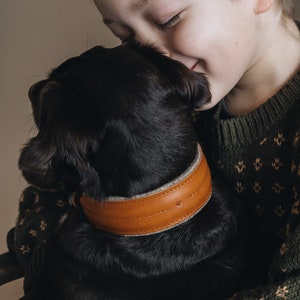 Wide Leather Dog Collar: Wool Felt Padding, Modern Chic Style &quot;PINE&quot;