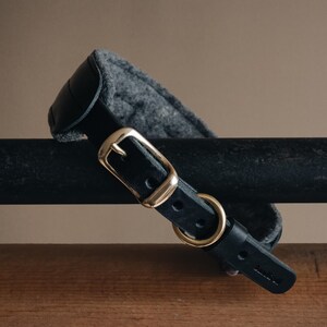 K&ouml;nnte beinhalten: Schwarzes Lederhundekragen mit grauem Fleecefutter und einer Messing-Schnalle. Das Halsband hat einen kleinen Messing-D-Ring und der Text "AndGo" ist in das Leder gepr&auml;gt.