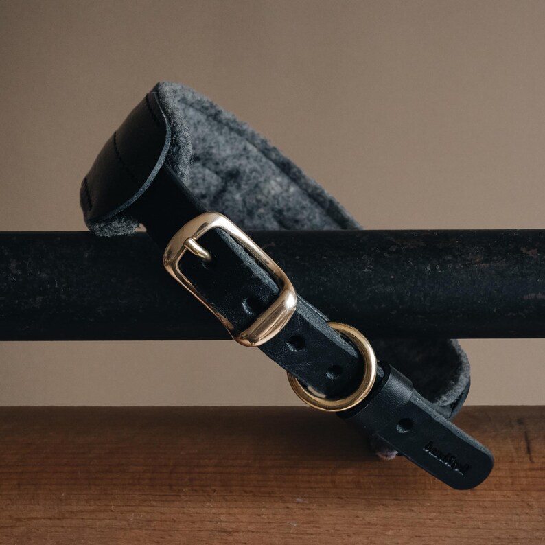 K&ouml;nnte beinhalten: Schwarzes Lederhundekragen mit grauem Fleecefutter und einer Messing-Schnalle. Das Halsband hat einen kleinen Messing-D-Ring und der Text "AndGo" ist in das Leder gepr&auml;gt.