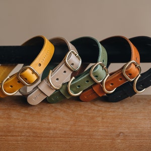 Leather Dog Collar in Brown, Beige, Green, Yellow, Black - Vegetable Tanned, Stitched Elegance, Brass Tag - back view