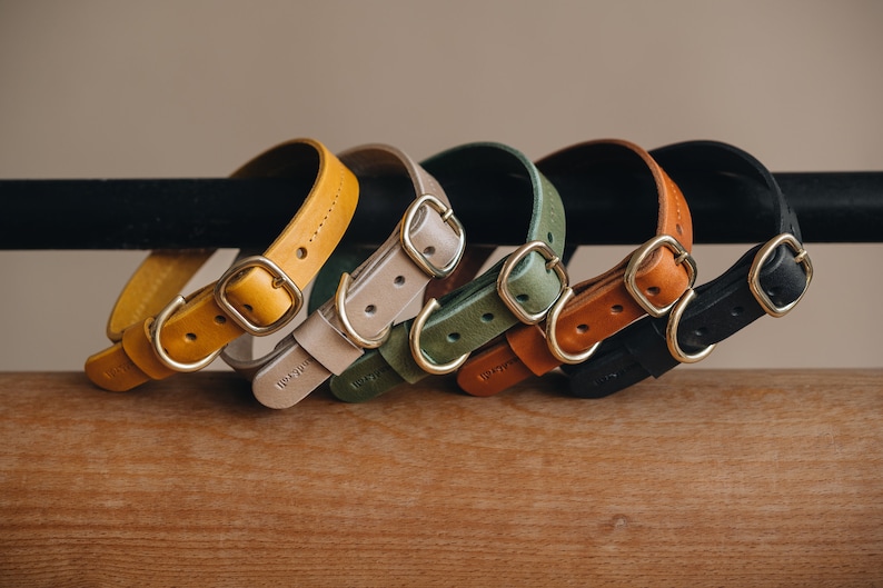 Leather Dog Collar in Brown, Beige, Green, Yellow, Black - Vegetable Tanned, Stitched Elegance, Brass Tag - back view