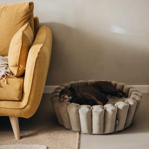Pu&ograve; includere: Un cane marrone sta dormendo in un letto rotondo per cani beige con un design trapuntato. Il letto &egrave; su un tappeto marrone chiaro davanti a un divano giallo.