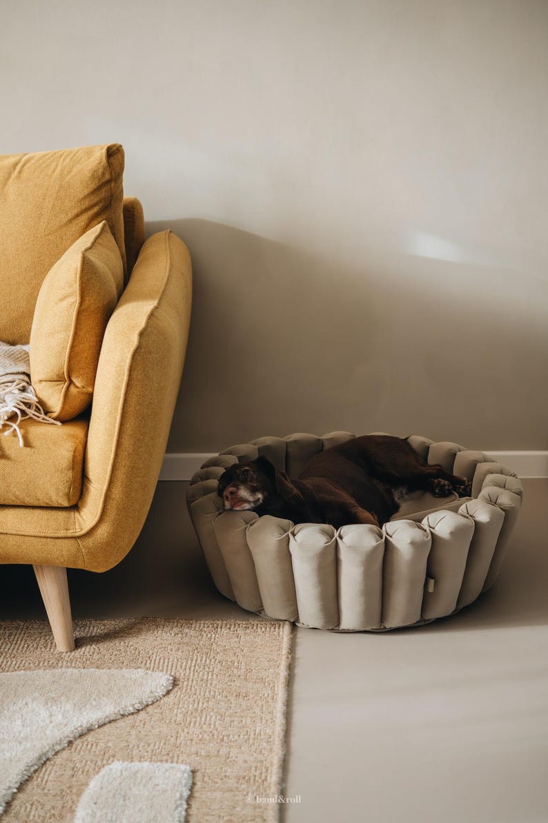 Pu&ograve; includere: Un cane marrone sta dormendo in un letto rotondo per cani beige con un design trapuntato. Il letto &egrave; su un tappeto marrone chiaro davanti a un divano giallo.