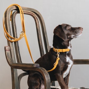 Yellow Collar for Tiny Canines: Vegetable Tanned Leather, Ultra-Light Hardware, Custom Brass Tag FIR Air Sunbeam image 7