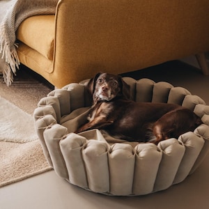 Pu&ograve; includere: Un cane marrone giace in un letto per animali domestici rotondo e imbottito di colore grigio chiaro con un bordo arricciato. Il letto &egrave; su un pavimento grigio chiaro con un tappeto beige sullo sfondo.