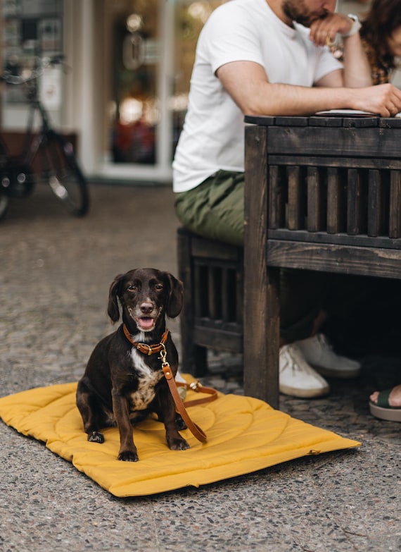 Outdoor Dog Blanket Hiking Dog Mat Camping Dog Blanket Dog Travel Mat Easy to Clean Dog Mat Gift for Nomads With Dogs Compass Etsy