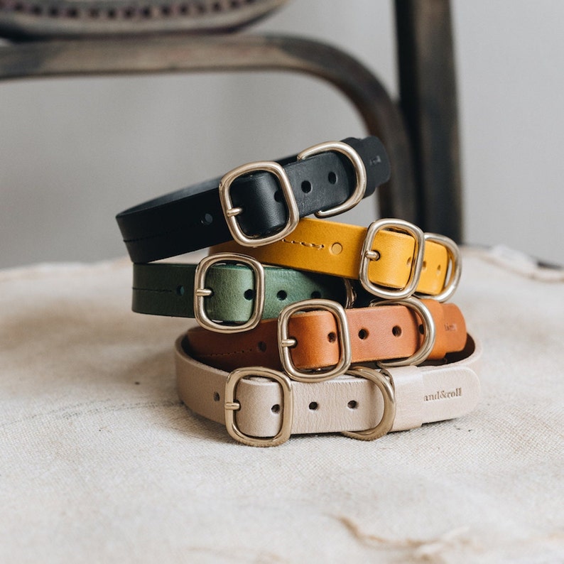 Leather Dog Collar in Brown, Beige, Green, Yellow, Black - Vegetable Tanned, Stitched Elegance, Brass Tag
