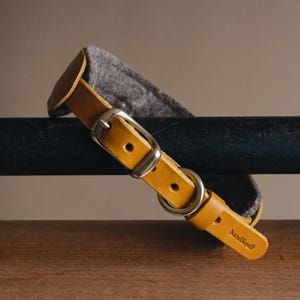 K&ouml;nnte beinhalten: Ein gelbes Lederhundekragen mit einer silbernen Schnalle und einem grauen Filzfutter. Das Halsband tr&auml;gt den Markennamen "brand & soul" gepr&auml;gt auf dem Leder.