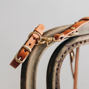 Brown Leather Dog Collar: Lightweight Brass, Vegetable Tanned "FIR AIR"
