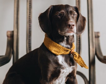 Bandana artisanal japonais pour chien en seersucker de coton avec anneau en cuir réglable : un récit d'artisanat, de confort et de vie consciente - Tori