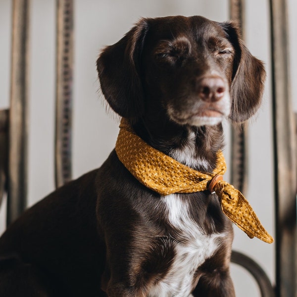 Artisanal Japanese Cotton Seersucker Dog Bandana with Adjustable Leather Ring: A Narrative of Craft, Comfort, and Conscious Living - Tori