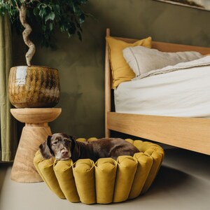 Puede incluir: Un perro marr&oacute;n est&aacute; tumbado en una cama redonda para perros de color amarillo y con mechones. La cama est&aacute; sobre un suelo gris claro. La cama para perros est&aacute; debajo de un marco de cama de madera con una colcha blanca y una almohada amarilla.