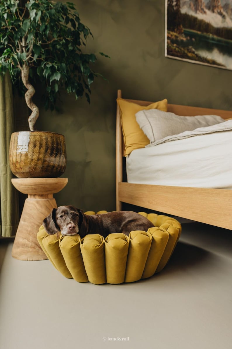 Puede incluir: Un perro marr&oacute;n est&aacute; tumbado en una cama redonda para perros de color amarillo y con mechones. La cama est&aacute; sobre un suelo gris claro. La cama para perros est&aacute; debajo de un marco de cama de madera con una colcha blanca y una almohada amarilla.