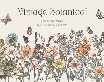 Könnte beinhalten: Digitale Illustration mit Vintage-Blumen in Pastellfarben und Schmetterlingen. Der Text "Vintage botanical" steht oben, zusammen mit Informationen zum Dateityp und der Anzahl der Elemente.