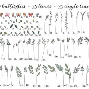 May include: An illustration featuring 10 butterflies, 55 leaves, and 35 single leaves. The butterflies are in various colors. The leaves and stems are in shades of green and gray. The text at the top reads "10 butterflies - 55 leaves - 35 single leaves."