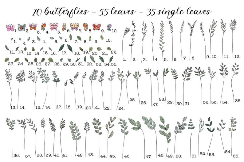 May include: An illustration featuring 10 butterflies, 55 leaves, and 35 single leaves. The butterflies are in various colors. The leaves and stems are in shades of green and gray. The text at the top reads "10 butterflies - 55 leaves - 35 single leaves."