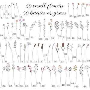 May include: An illustration featuring 50 small flowers and 50 berries or grass, each individually numbered. The delicate line art showcases a variety of floral and botanical elements, with subtle color accents.