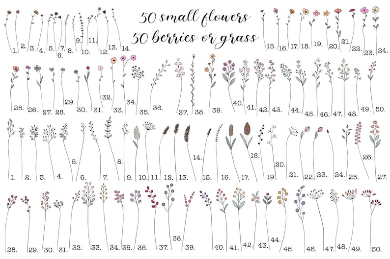May include: An illustration featuring 50 small flowers and 50 berries or grass, each individually numbered. The delicate line art showcases a variety of floral and botanical elements, with subtle color accents.