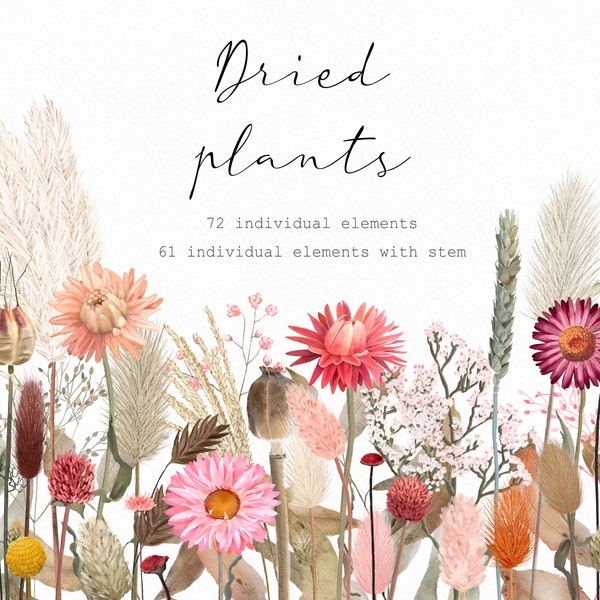 Clipart gedroogde bloemen: png-bestanden met stelen (digitale download)