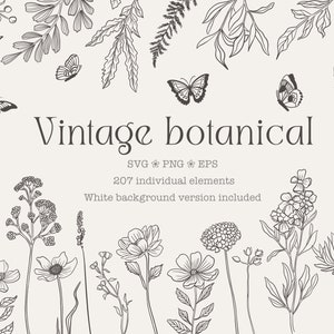 lot de fleurs sauvages vintage svg fleurs sauvages png Floral clipart Daisy dessin au trait papillon clipart botanique esthétique prairie fleurs croquis