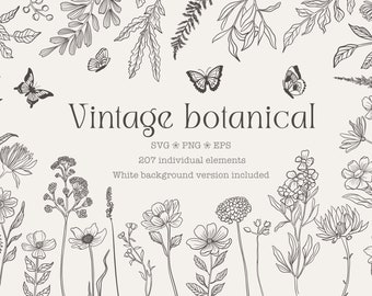 Könnte beinhalten: Eine Sammlung von schwarz-weißen Strichzeichnungen mit verschiedenen botanischen Elementen und Schmetterlingen. Der Text lautet: Vintage botanical, SVG PNG EPS, 207 individual elements, White background version included.
