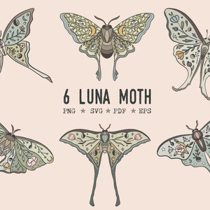 May include: Six illustrations of Luna moths with intricate details, including eyes, wings, and floral patterns. The moths are in various poses and have a green, blue, and brown color scheme. The text "6 LUNA MOTH" is below the images, with "PNG * SVG * PDF * EPS" underneath.