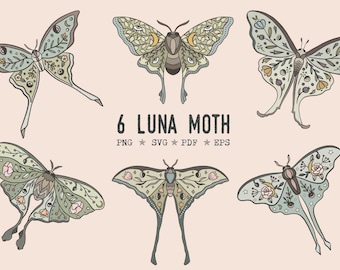 Fairycore luna moth mystical svg magical moth png Floral moth wings Fairy grunge clipart sublimation moth shirt cottagecore clipart moth art