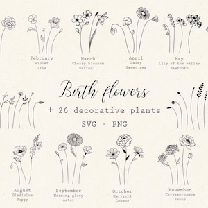 Boho naissance fleur svg fleurs sauvages svg Daisy svg muguet png mois de la naissance bouquet de fleurs Floral fleur de naissance clipart vecteur botanique