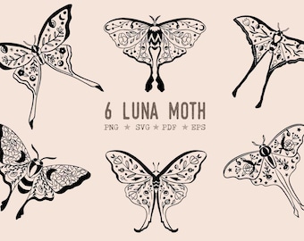 Moth svg Floral luna moth png mystical clipart celestial moth png boho moth Fairy fairy core clip art moon instant download moth cut file