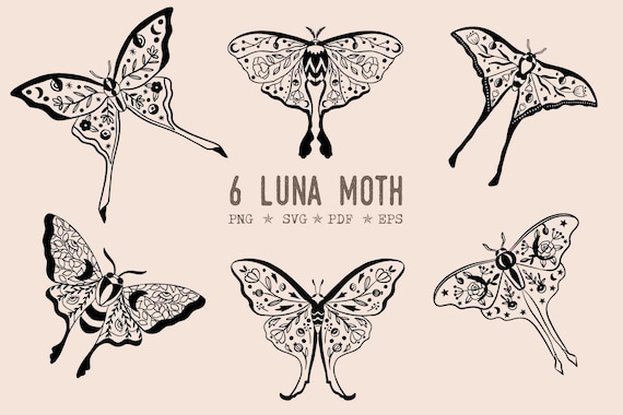 Moth svg Floral luna moth png mystical clipart celestial moth png boho moth Fairy fairy core clip art moon instant download moth cut file