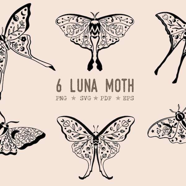 Moth svg Floral luna moth png mystical clipart celestial moth png boho moth Fairy fairy core clip art moon instant download moth cut file